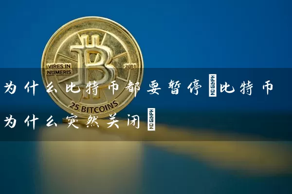 为什么比特币都要暂停(比特币为什么突然关闭)