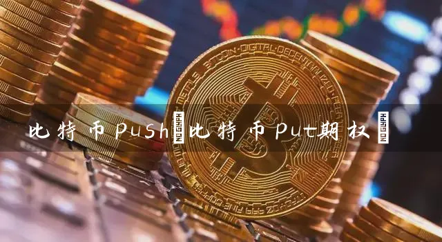 比特币push(比特币put期权)