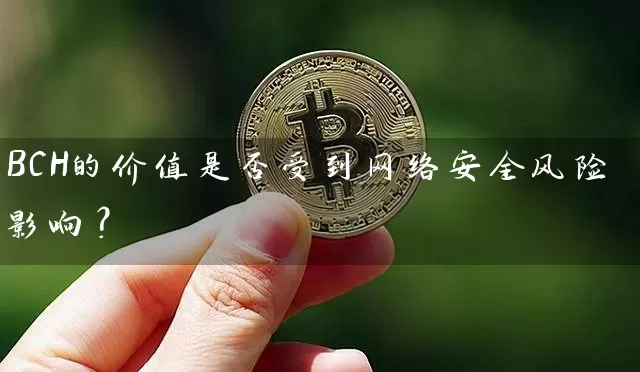 BCH的价值是否受到网络安全风险影响？
