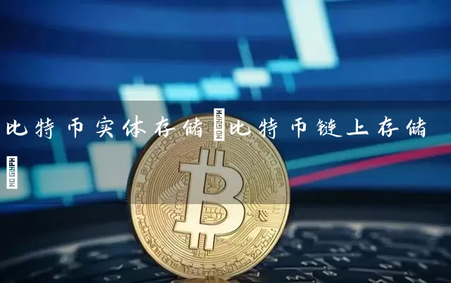 比特币实体存储(比特币链上存储)