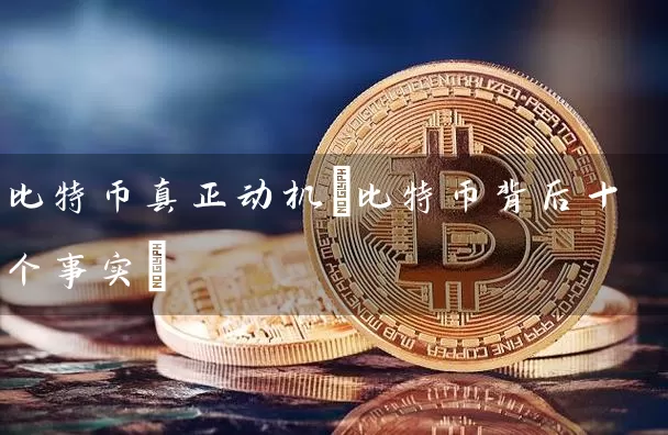 比特币真正动机(比特币背后十个事实)