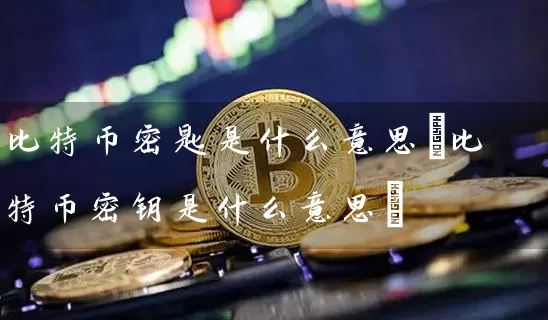 比特币密匙是什么意思(比特币密钥是什么意思)