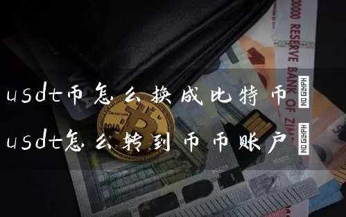 usdt币怎么换成比特币(usdt怎么转到币币账户)