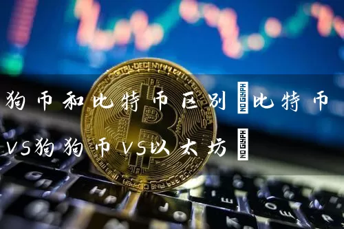 狗币和比特币区别(比特币vs狗狗币vs以太坊)