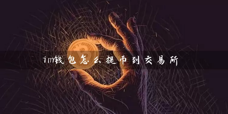 im钱包怎么提币到交易所