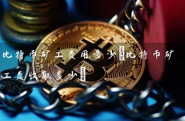 比特币矿工费用多少(比特币矿工费收取多少)
