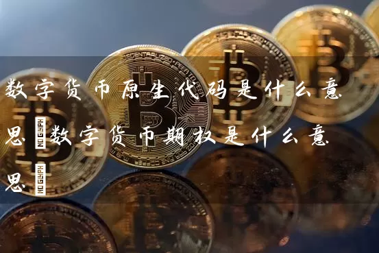 数字货币原生代码是什么意思(数字货币期权是什么意思)