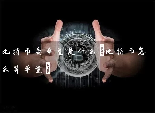 比特币委单量是什么(比特币怎么算单量)