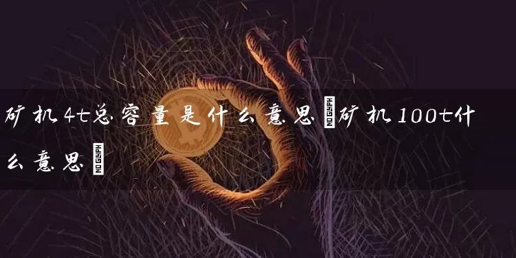 矿机4t总容量是什么意思(矿机100t什么意思)