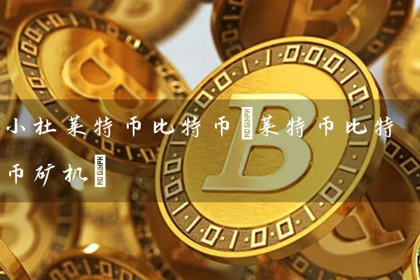 小杜莱特币比特币(莱特币比特币矿机)