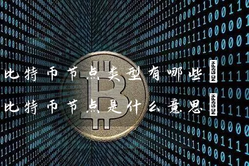 比特币节点类型有哪些(比特币节点是什么意思)