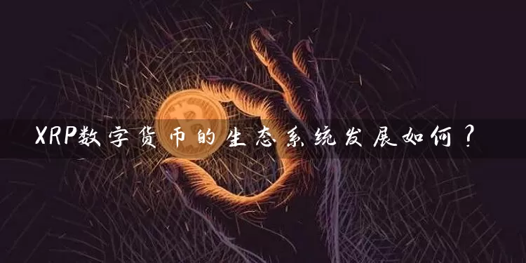 XRP数字货币的生态系统发展如何？