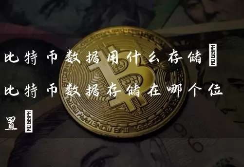 比特币数据用什么存储(比特币数据存储在哪个位置)