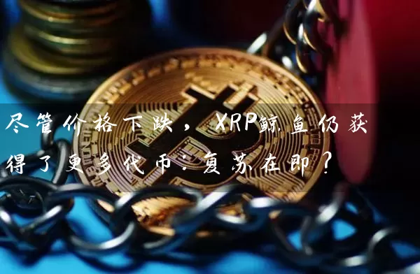 尽管价格下跌，XRP鲸鱼仍获得了更多代币：复苏在即？