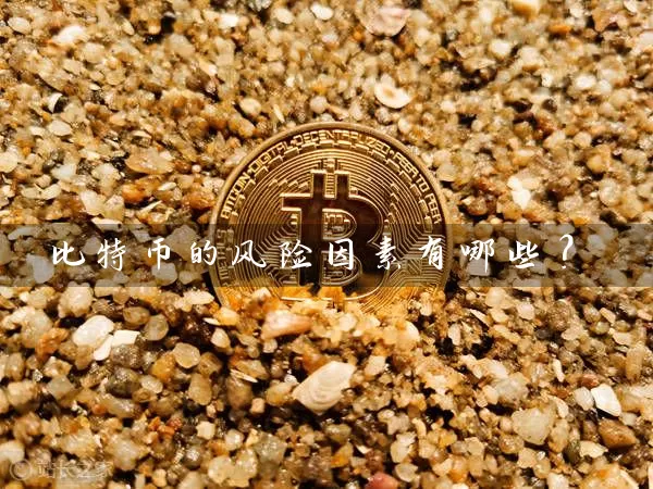 比特币的风险因素有哪些？