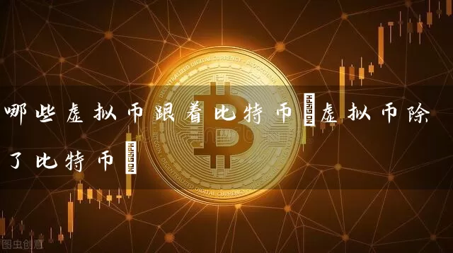 哪些虚拟币跟着比特币(虚拟币除了比特币)