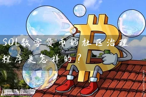 SOL数字货币的社区治理程序是怎样的？