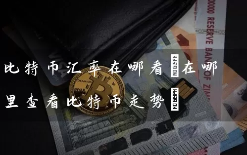 比特币汇率在哪看(在哪里查看比特币走势)
