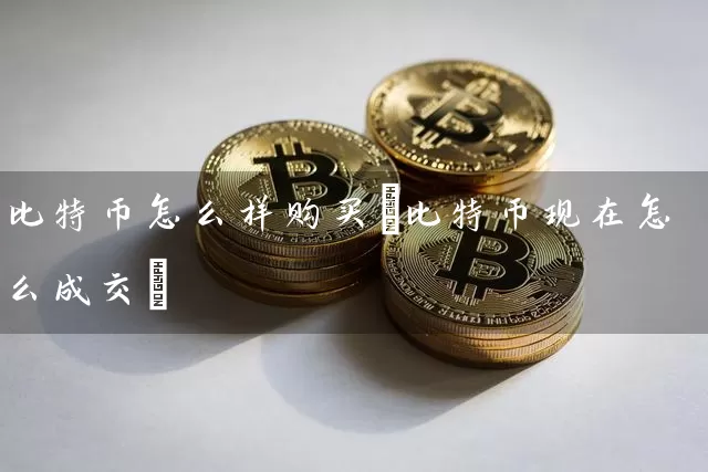 比特币怎么样购买(比特币现在怎么成交)