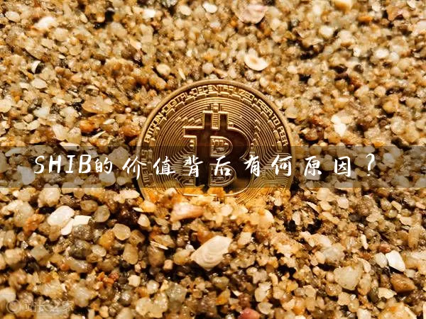 SHIB的价值背后有何原因？