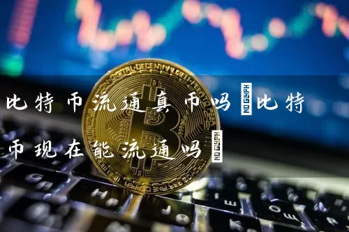 比特币流通真币吗(比特币现在能流通吗)