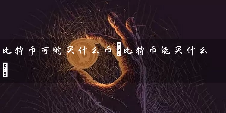 比特币可购买什么币(比特币能买什么)