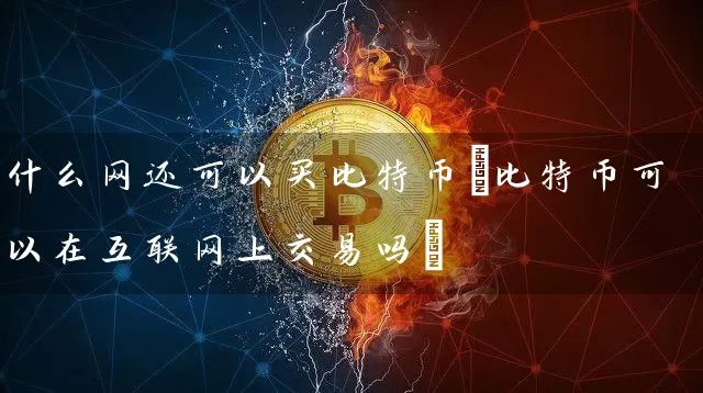 什么网还可以买比特币(比特币可以在互联网上交易吗)