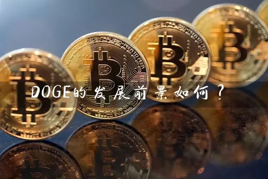 DOGE的发展前景如何？
