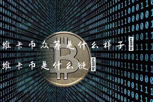 维卡币众筹是什么样子(维卡币是什么链)