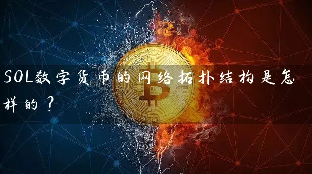 SOL数字货币的网络拓扑结构是怎样的？