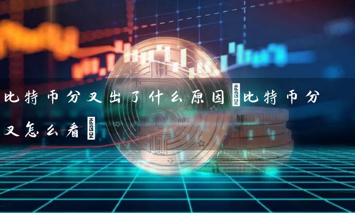 比特币分叉出了什么原因(比特币分叉怎么看)