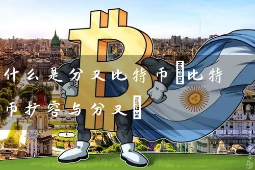 什么是分叉比特币(比特币扩容与分叉)