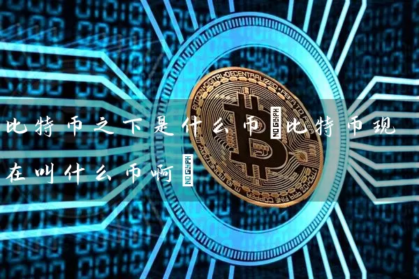 比特币之下是什么币(比特币现在叫什么币啊)