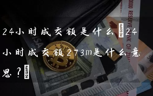 24小时成交额是什么(24小时成交额273m是什么意思?)