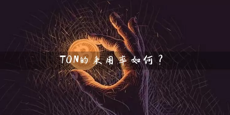 TON的采用率如何？