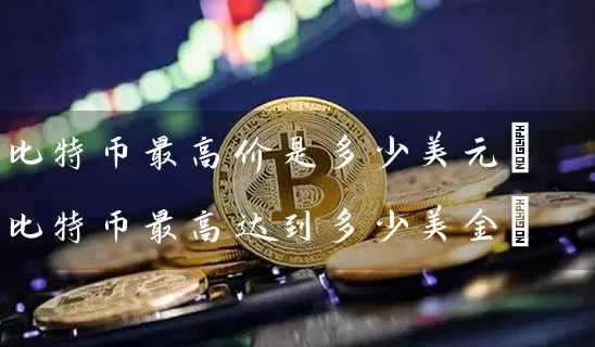 比特币最高价是多少美元(比特币最高达到多少美金)
