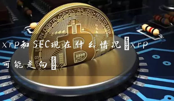 xrp和SEC现在什么情况(xrp可能走向)