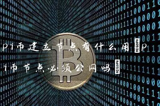 pi币建立节点有什么用(pi币节点必须公网吗)