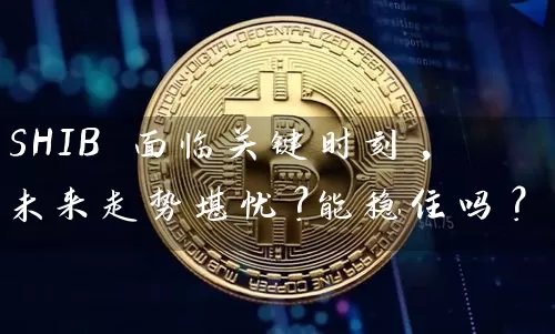 SHIB 面临关键时刻, 未来走势堪忧？能稳住吗？