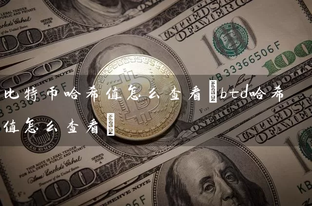 比特币哈希值怎么查看(btd哈希值怎么查看)