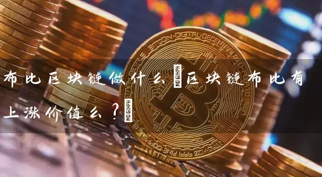 布比区块链做什么(区块链布比有上涨价值么?)