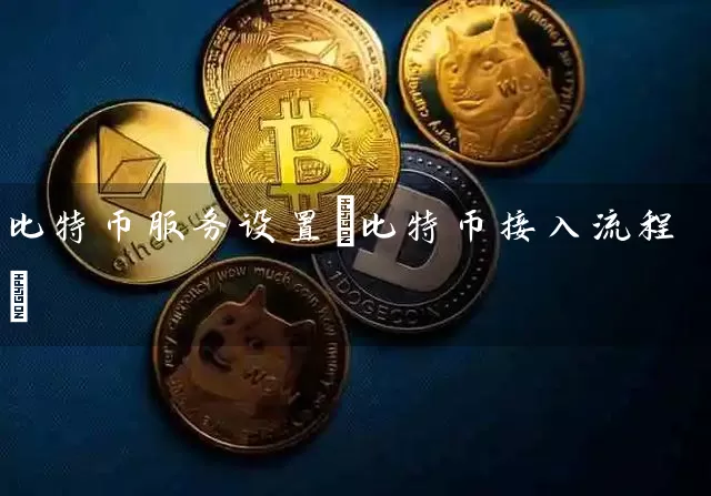 比特币服务设置(比特币接入流程)