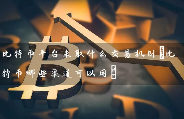 比特币平台采取什么交易机制(比特币哪些渠道可以用)