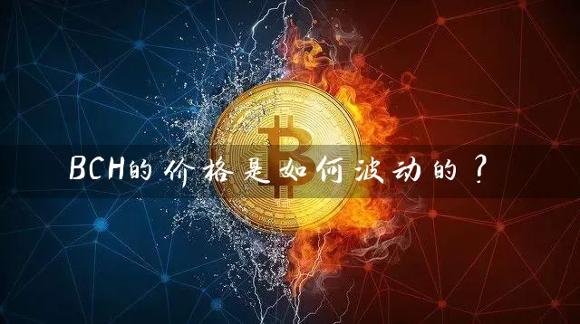 BCH的价格是如何波动的？