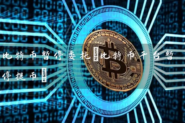 比特币暂停委托(比特币平台暂停提币)