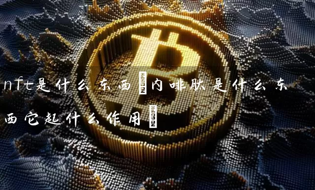 nft是什么东西(内啡肽是什么东西它起什么作用)