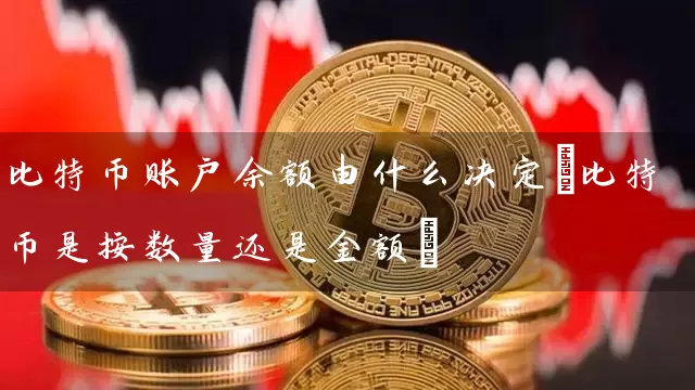 比特币账户余额由什么决定(比特币是按数量还是金额)