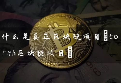 什么是真正区块链项目(torah区块链项目)