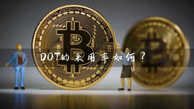 DOT的采用率如何？