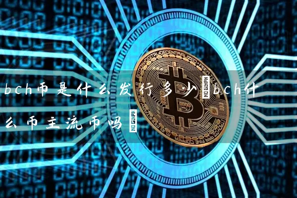 bch币是什么发行多少(bch什么币主流币吗)
